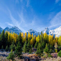 Fall Color in Larch Valley, Banff Natl Park, Canada