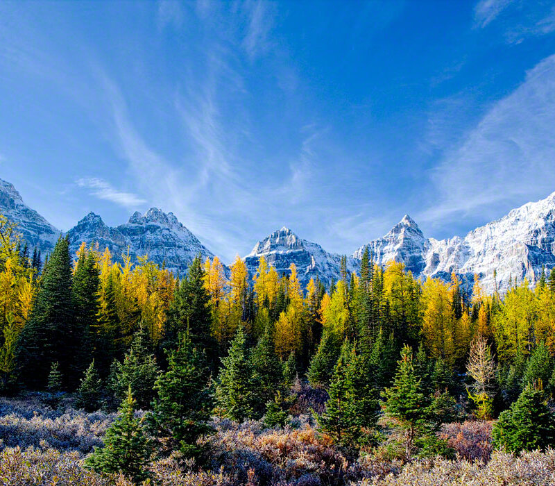 Fall Color in Larch Valley, Banff Natl Park, Canada