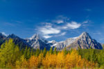 Near Waterfowl Lake, Banff Natl Park, Canada Near Waterfowl Lake, Banff Natl Park, Canada