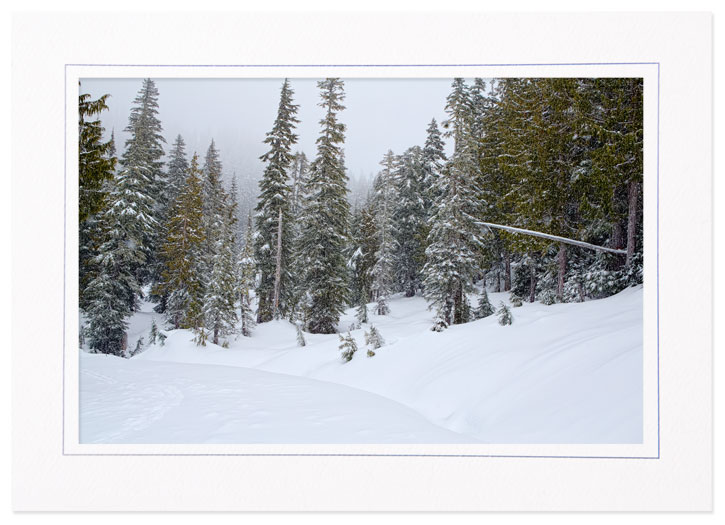 Snowing @ Mt Rainier Natl Pk, Washington