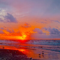 Sunrise at Galveston, Texas
2018_09_21-5810
N 29 15.5150 W 94 50.4030