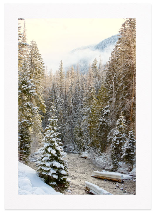 Snow on the American River