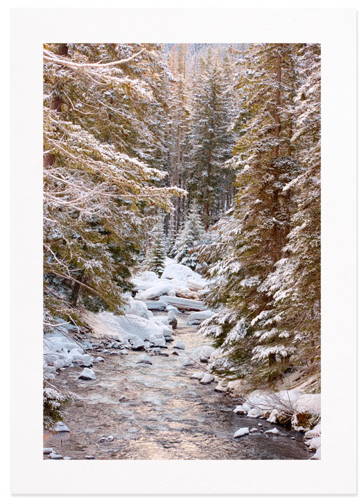 Snow on the American River