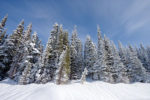 Snowshoeing  in the Winter Wonderland