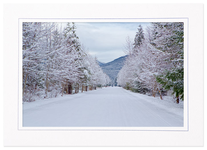 Driving Thru the Winter Wonderland