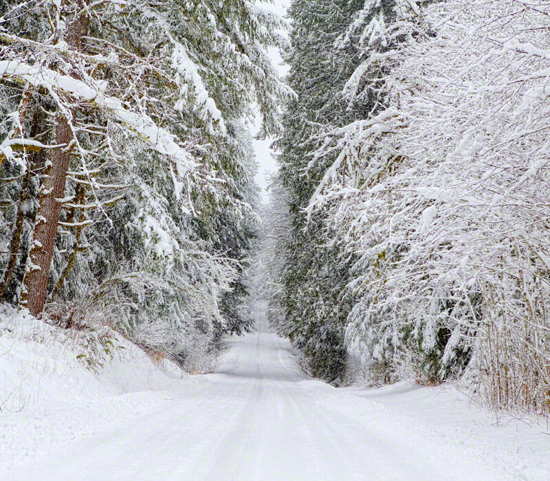 Driving Thru the Winter Wonderland