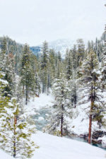 Snowing on the Payette River