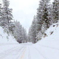 Snow on the American River