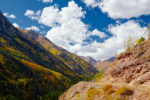 Colorado Fall Color