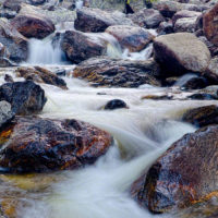 Accidental Abstract on the Creek