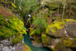 Avalanche Creek, Glacier National Park Avalanche Creek, Glacier National Park