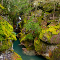 Avalanche Creek, Glacier National Park