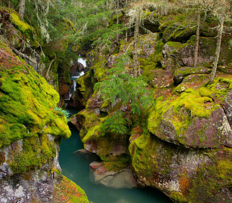 Avalanche Creek, Glacier National Park