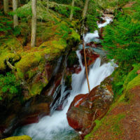 Avalanche Creek, Glacier National Park