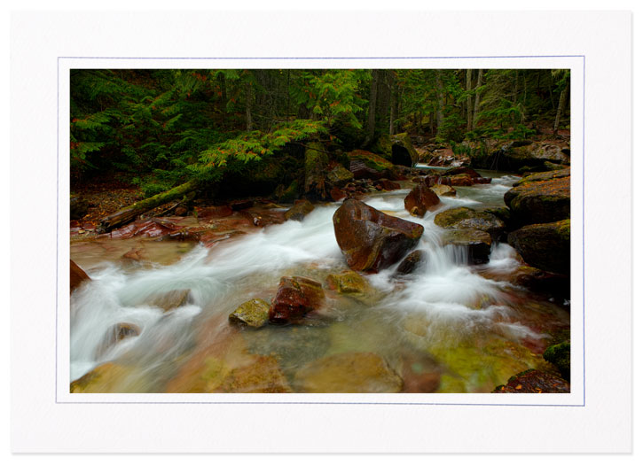 Avalanche Creek, Glacier National Park