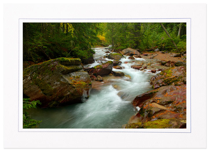 Avalanche Creek, Glacier National Park