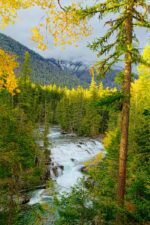 McDonald Falls, Glacier Natl Park,