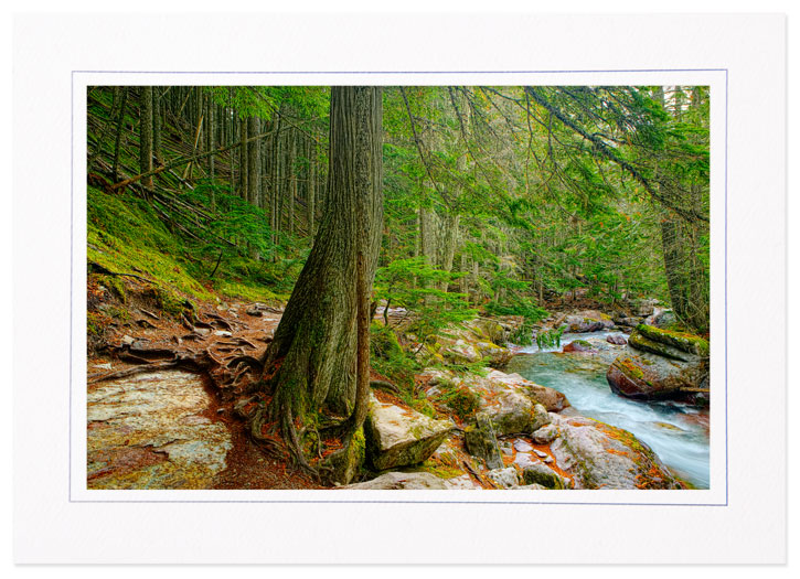 Avalanche Creek Trail