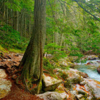 McDonald Creek, Glacier National Park