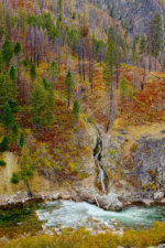 Idaho Fall Color on the Payette River