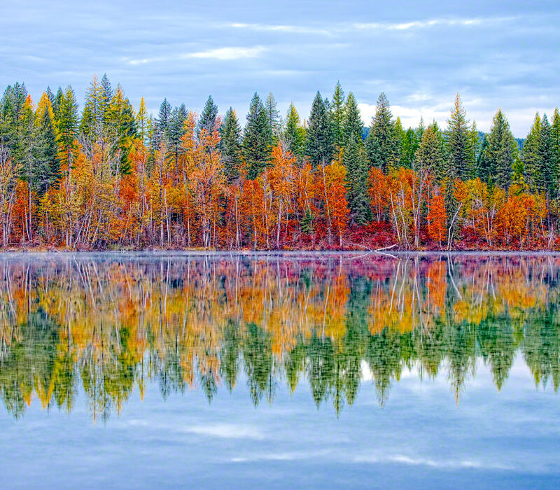 Reflections of Fall Color