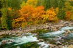 Washington Fall Color