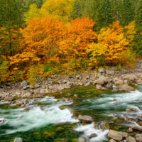 Colorado Fall Color