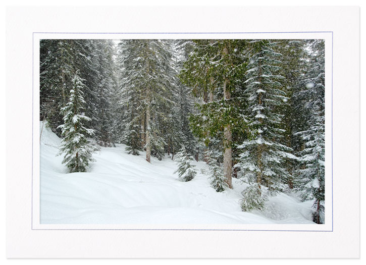 Snowshoeing in the Forest