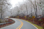 Hoar frost on an Arkansas Drive