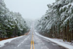 Light Snow on the Talimena Byway, Oklahoma