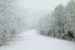 7" of Snow on the Talimena Byway, Oklahoma