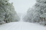 7" of Snow on the Talimena Byway, Oklahoma