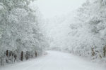 7" of Snow on the Talimena Byway, Oklahoma