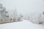 7" of Snow on the Talimena Byway, Arkansas