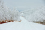 Winter Wonderland on the Talimena Byway, Arkansas