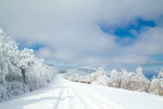 Clearing Snowstorm on the Talimena Byway, Oklahoma