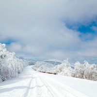 Clearing Snowstorm on the Talimena Byway, Oklahoma