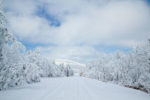 Clearing Snowstorm on the Talimena Byway, Oklahoma