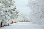 Winter Wonderland on the Talimena Byway, Oklahoma