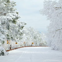 Winter Wonderland on the Talimena Byway, Oklahoma
