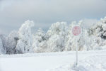 Frosty stop sign on the Talimena Byway, Oklahoma