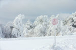 Frosty stop sign on the Talimena Byway, Oklahoma Frosty stop sign on the Talimena Byway, Oklahoma