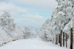 Clearing Snowstorm on the Talimena Byway, Oklahoma Clearing Snowstorm on the Talimena Byway, Oklahoma