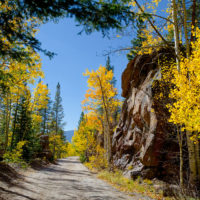 Fall color on McDonald Creek, Glacier Natl Park, Montana