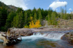 Fall color on McDonald Creek, Glacier Natl Park, Montana