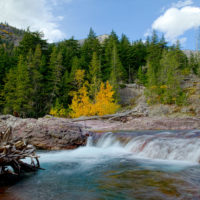 Fall color, North of Durango, Colorado