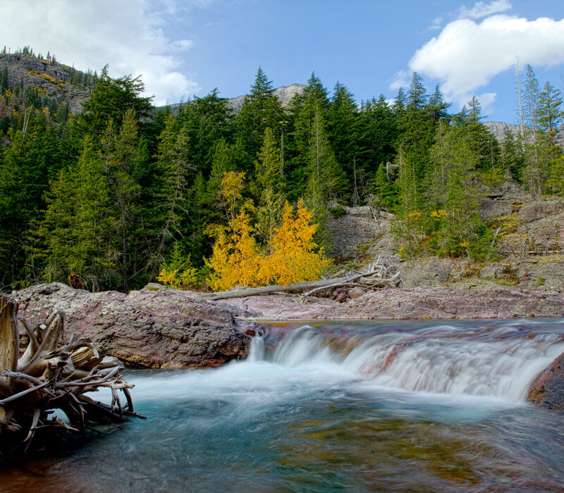 Fall color on McDonald Creek, Glacier Natl Park, Montana