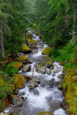 Nickel Creek, Mount Rainier National Park, Washington Nickel Creek, Mount Rainier National Park, Washington