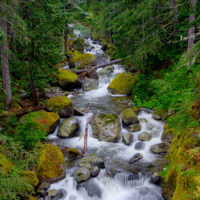 Trail in Mount Rainier National Park, Washington