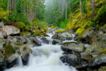 Nickel Creek, Mount Rainier National Park, Washington Nickel Creek, Mount Rainier National Park, Washington